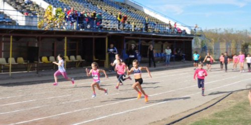 athletics-img